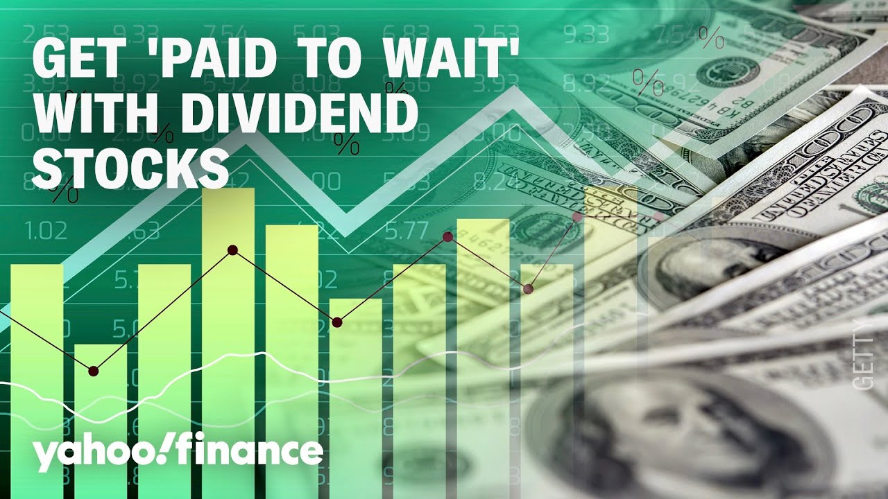 Dividend stocks hold up 'better in times of craziness, volatility': Portfolio Manager