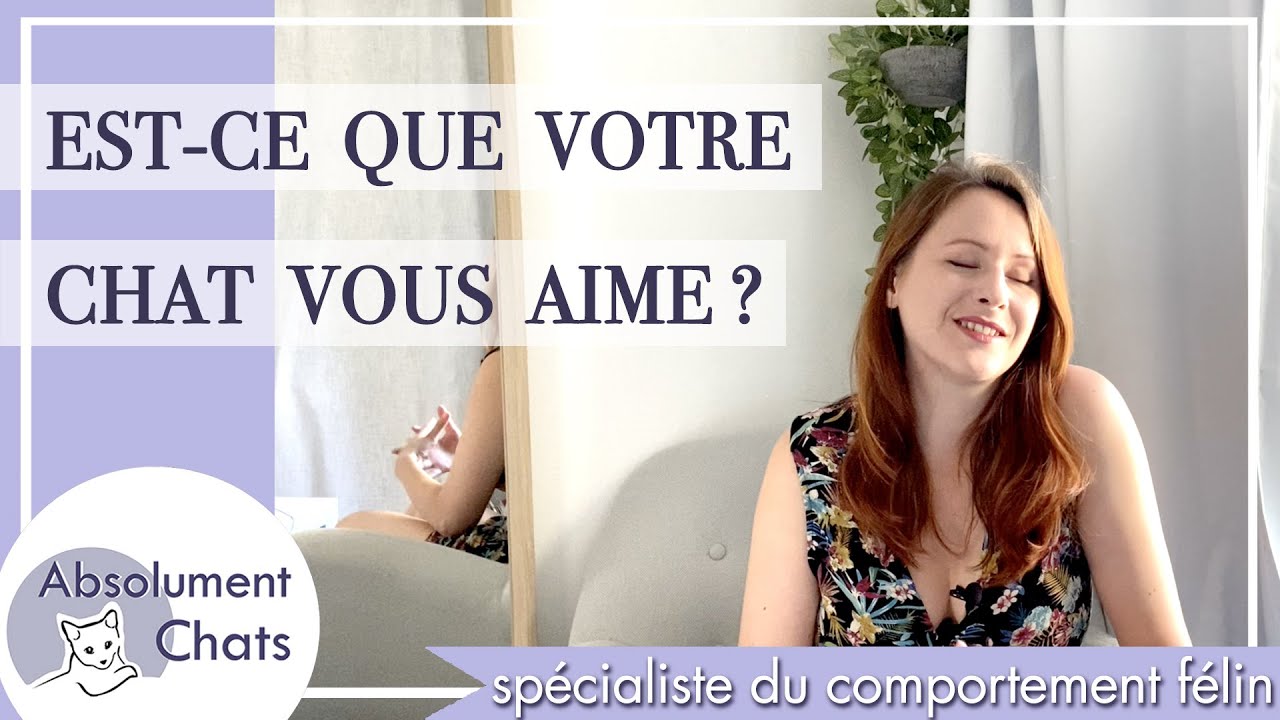 est-ce que votre chat vous aime ?