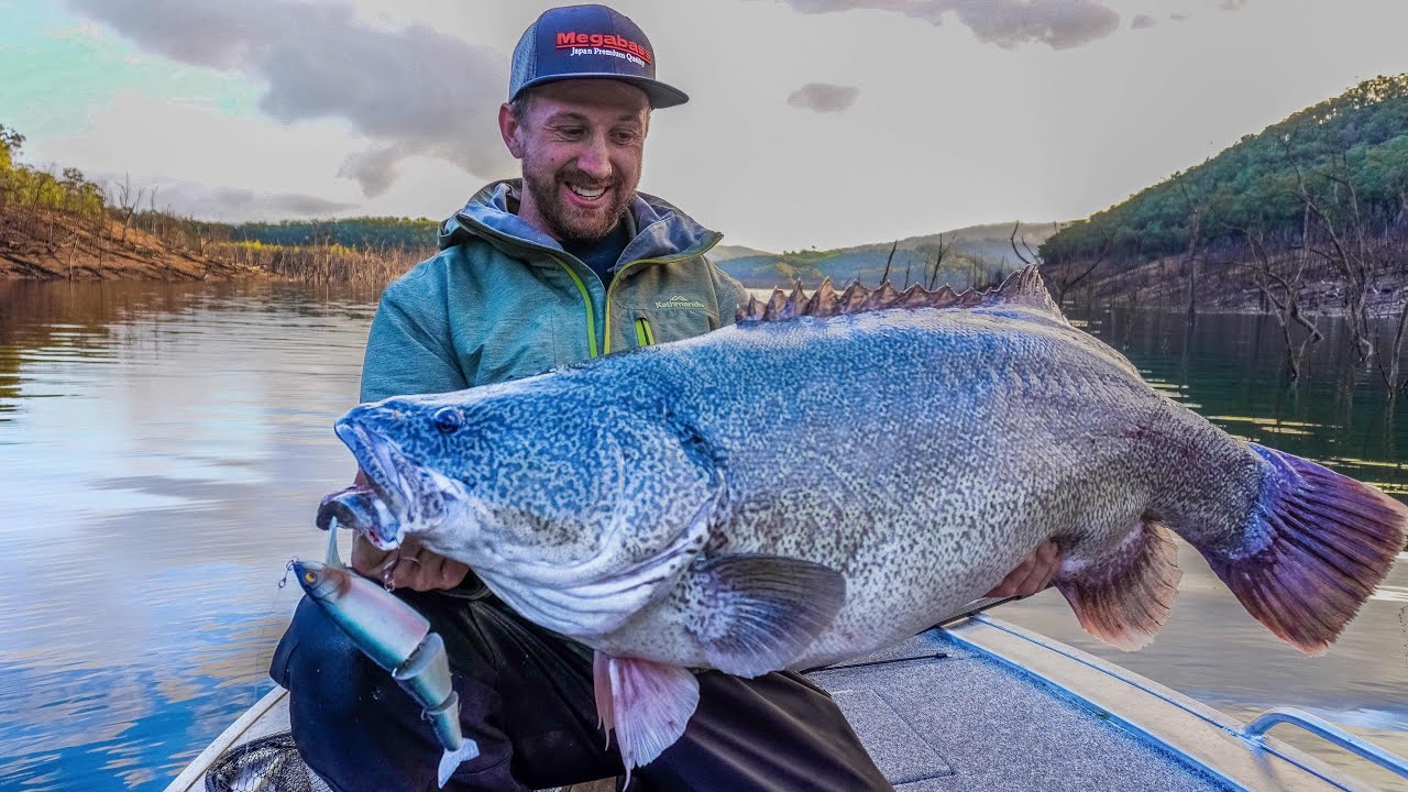 GIANT Murray cod - Big Baits for Heavy Weights