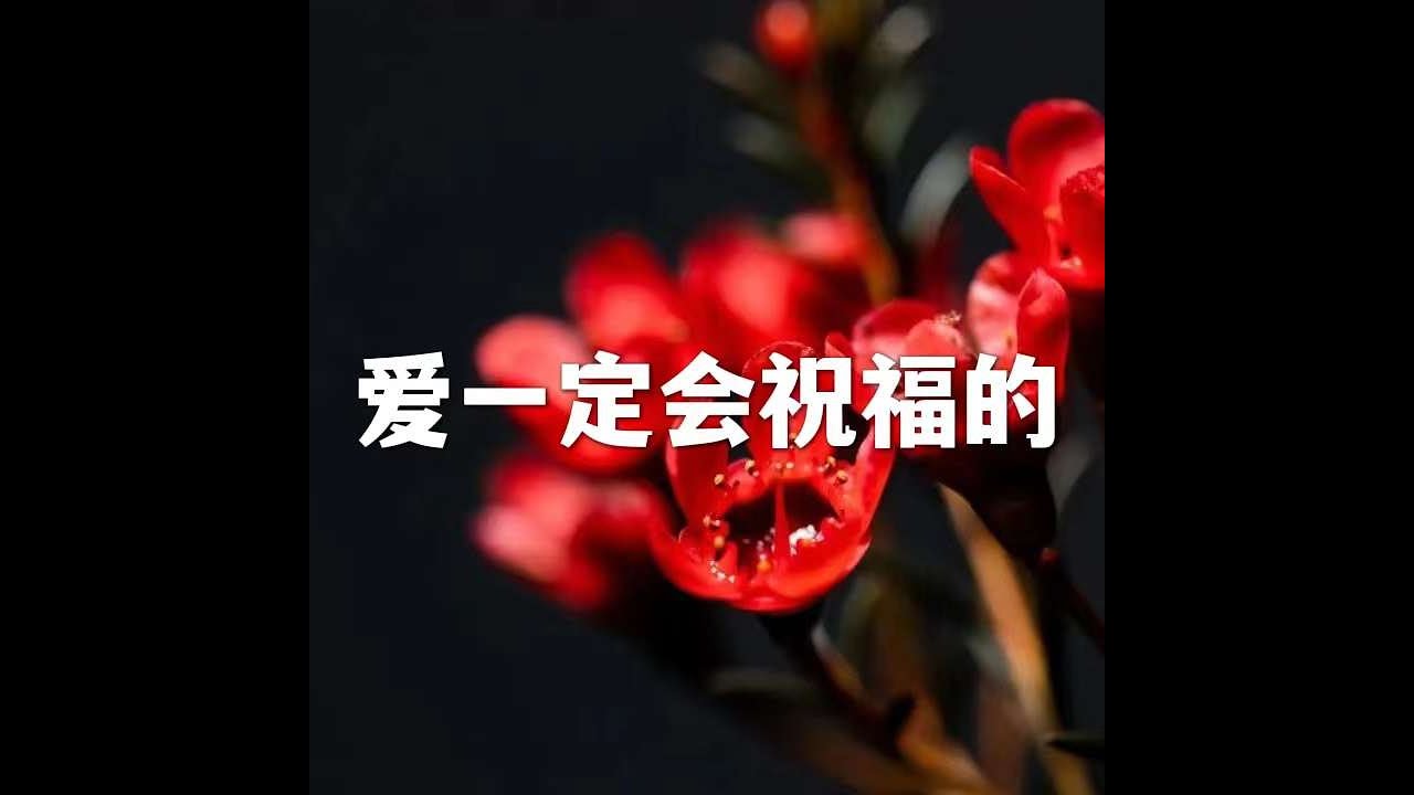 202206 爱一定会祝福的51655