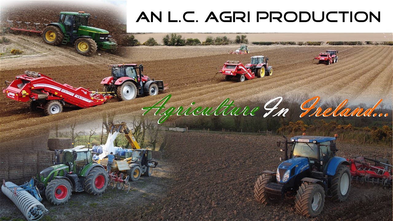 Agriculture In Ireland... | 4K