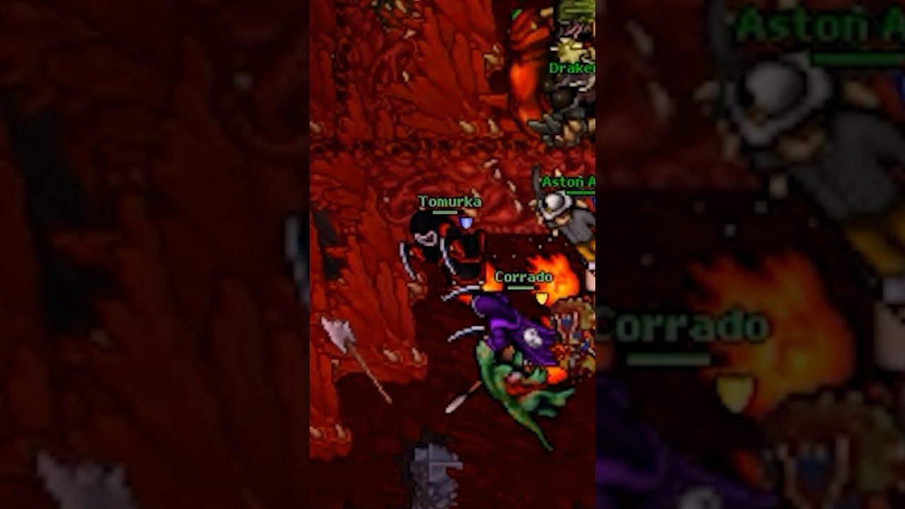 Wbił jako PIERWSZY 500 lvl #tomurka #historia #tibia #tibiagameplay #tibiahistory