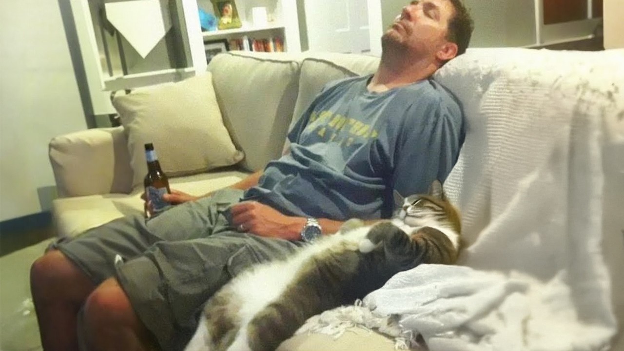 When Cats Are Imitating Their Human 😂