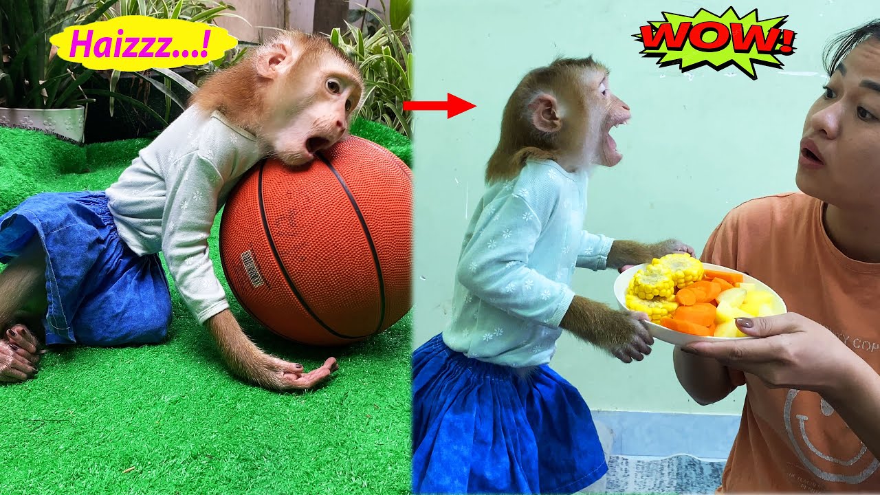Monkey Lyly excitedly prepared vegetables to cook and invited her mother to eat.