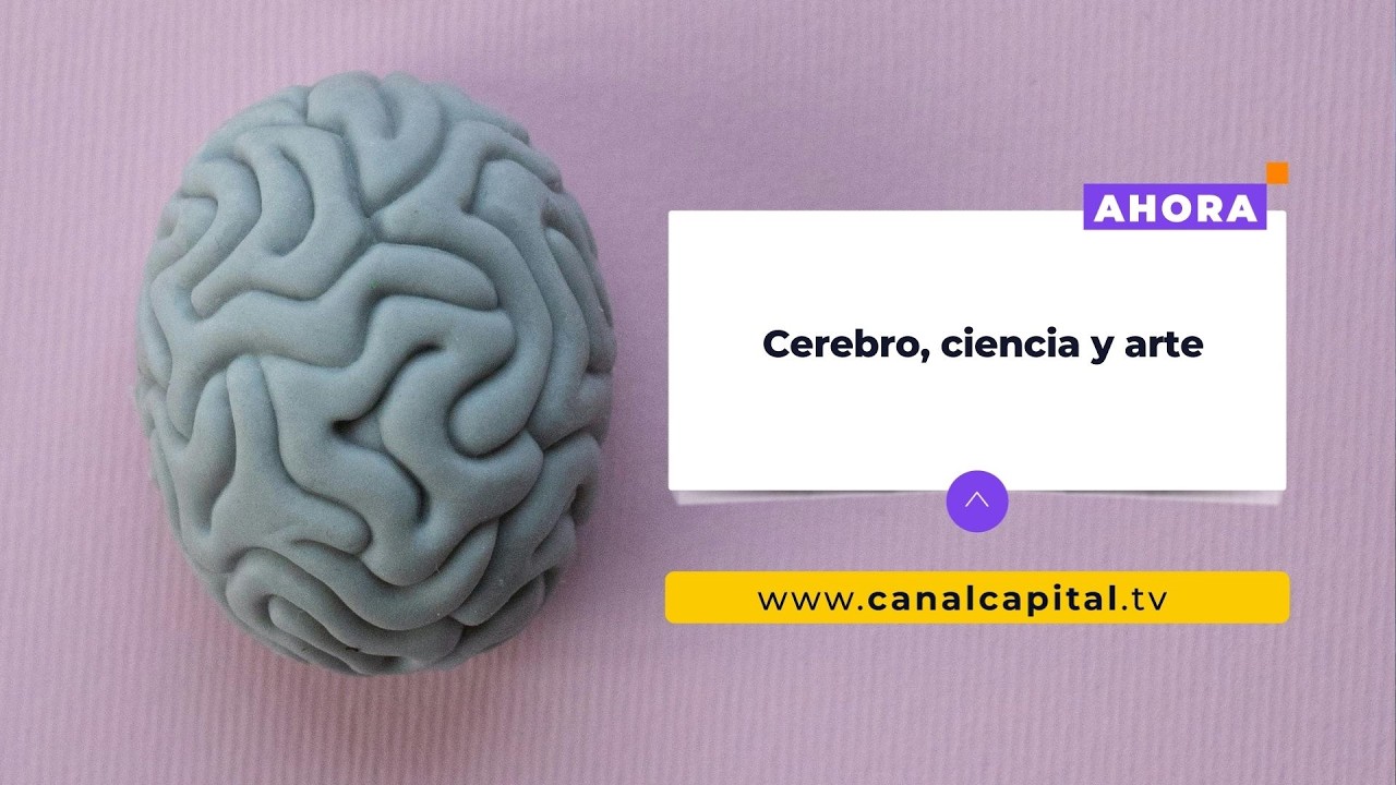 Semana del Cerebro en Bogotá: ciencia y arte para entender la mente | Cultura