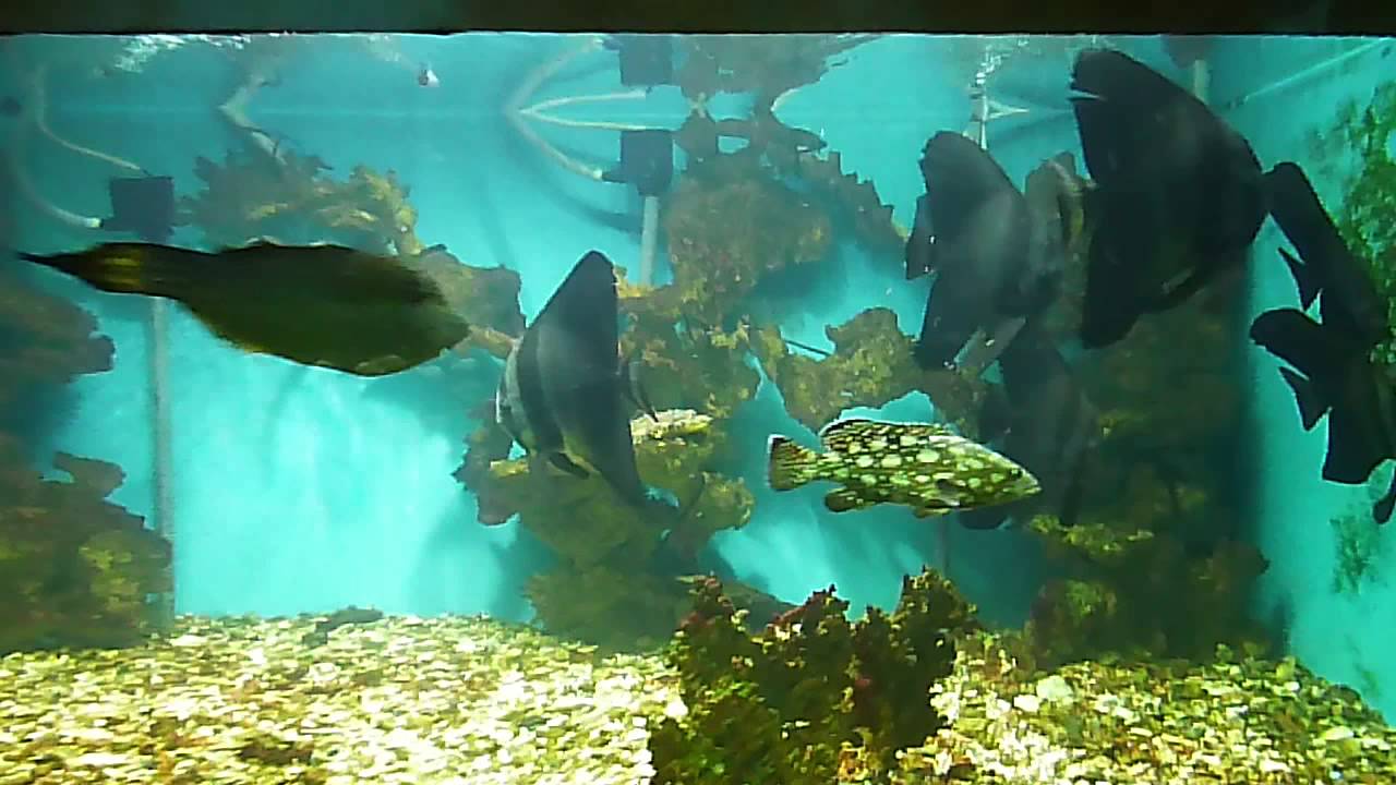 P1000916