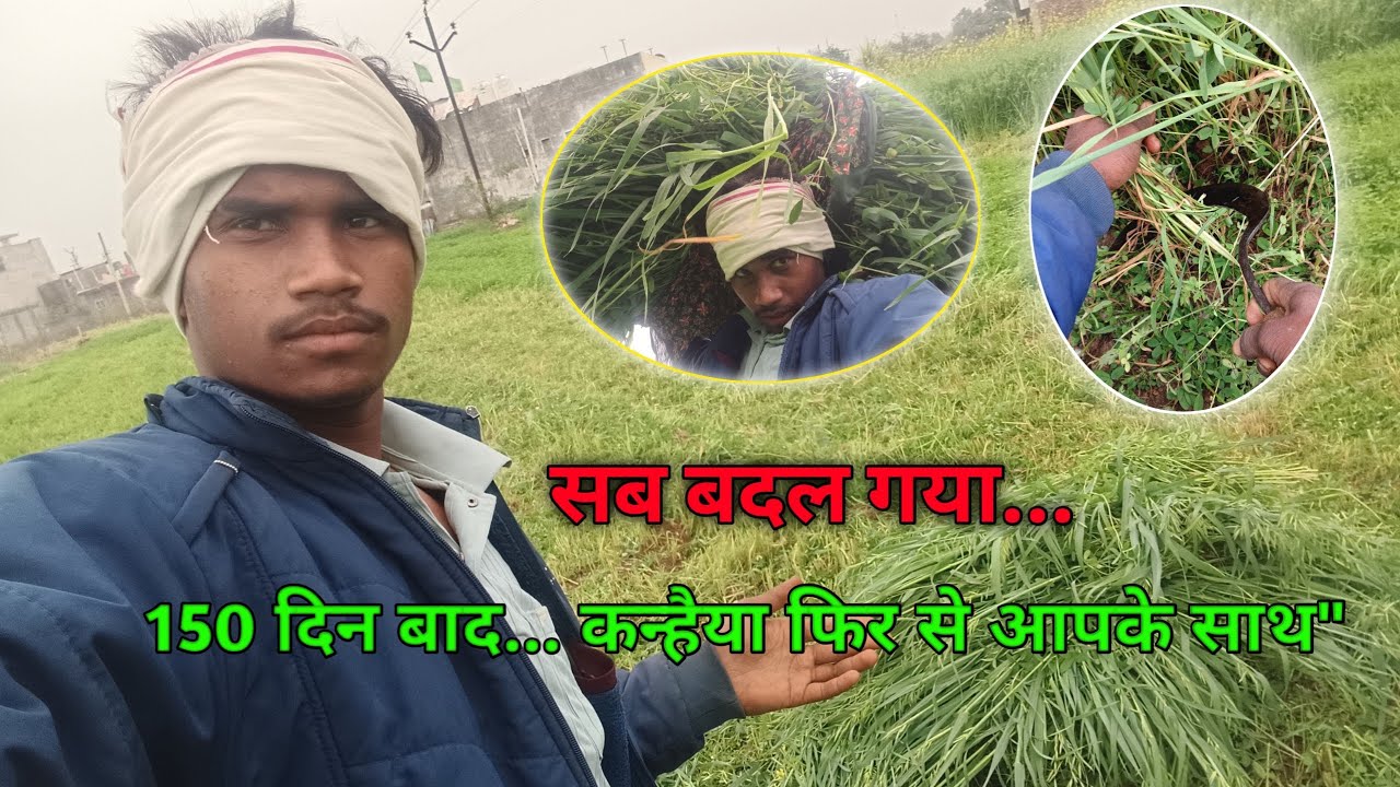 150 दिनों के बाद फिर से वही जोश 🔥 150 दिनों बाद... आखिर मैं कहाँ गायब था? 🥺 ‍ New Viogs 