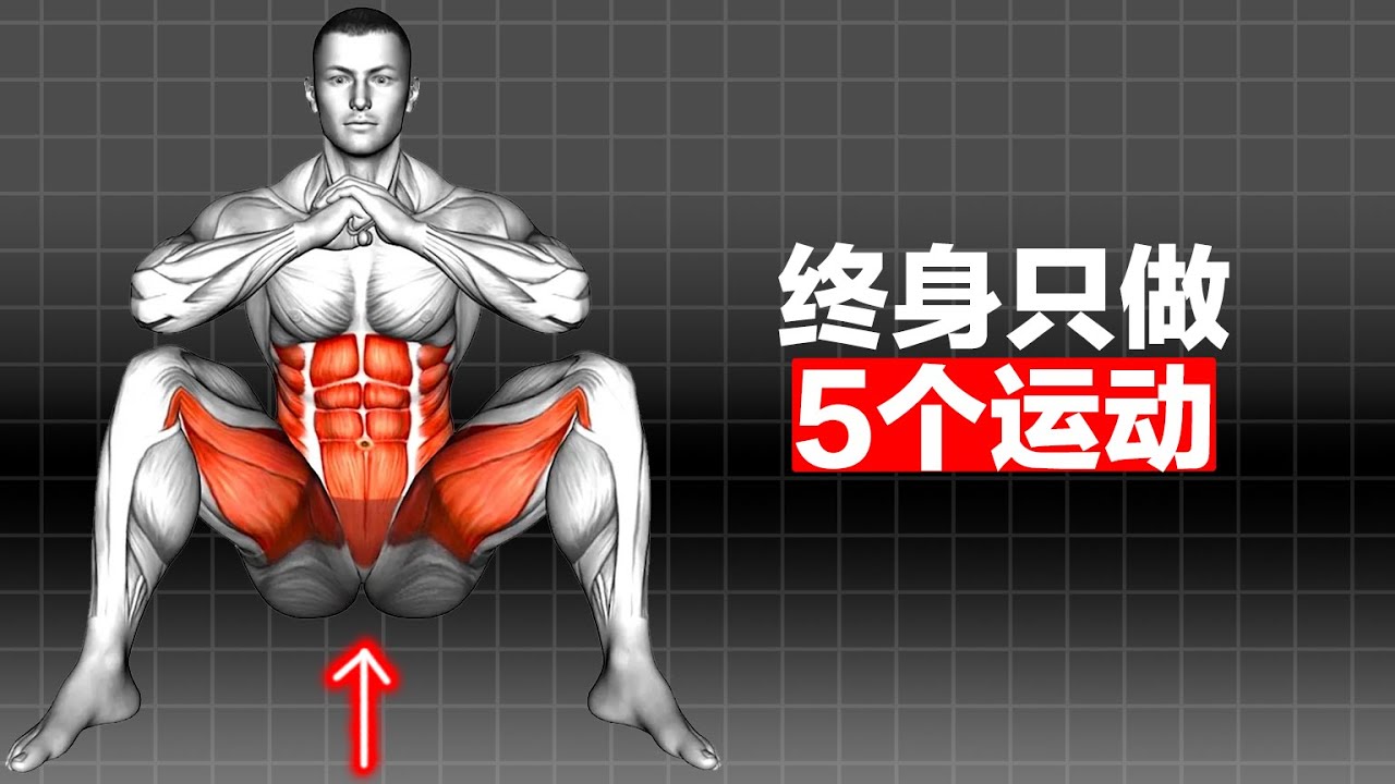 终身只需做的5个运动5 lifelong exercises that only need to be done