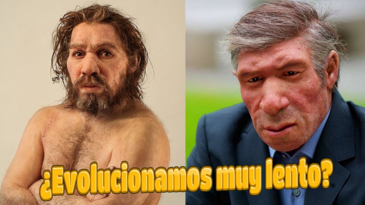 ¿Es el ser humano compatible con la civilización?