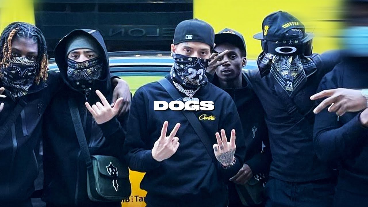 [FREE] Drill Type Beat - "Dogs" | NY/UK Drill x Afro Drill x Central Cee Type Beat 2023