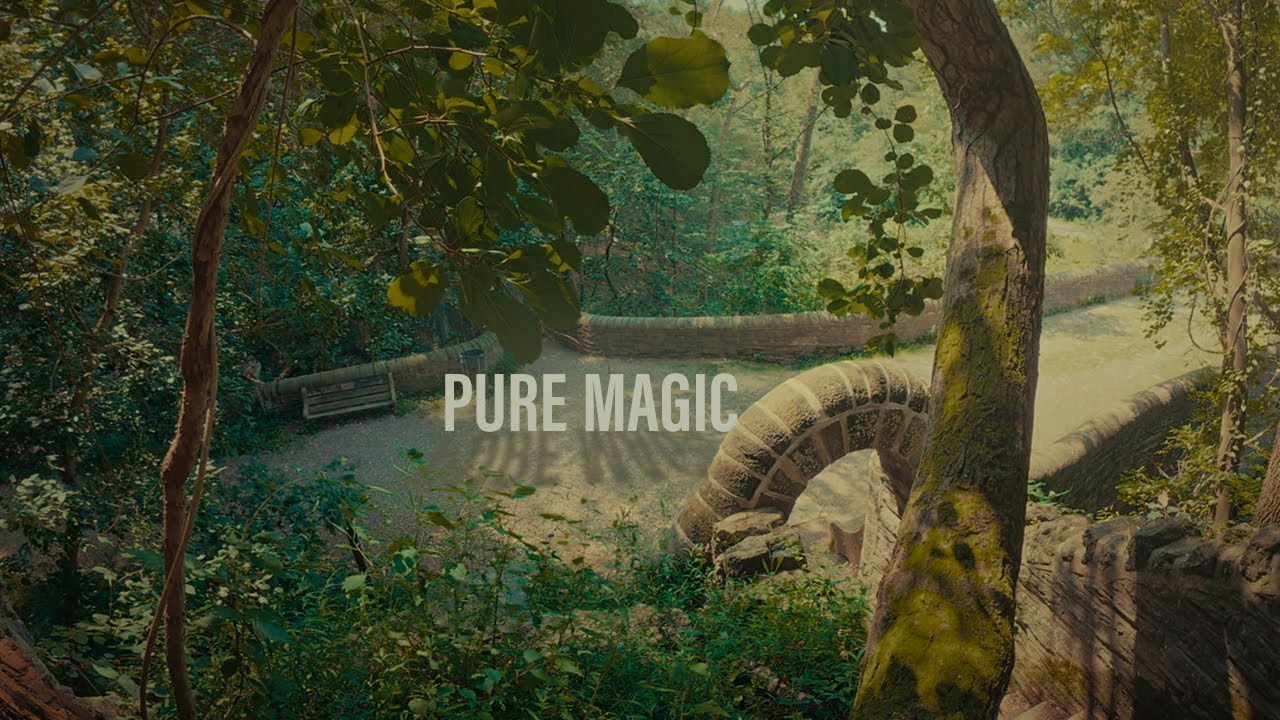 Back Outside: A Cinematic Nature Vlog Through Philly's Enchanted Forest | Action 5 Pro