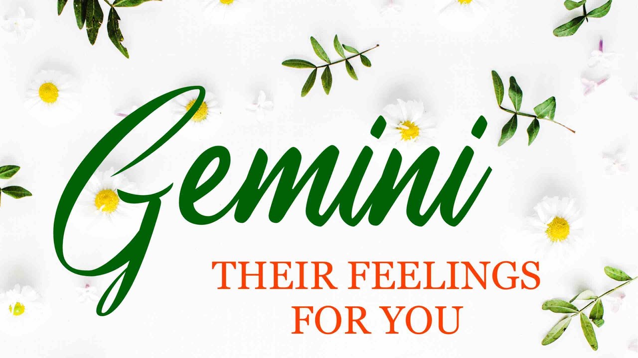 GEMINI love tarot ♊️ They’re Afraid Of Your Rejection Gemini But This Person Will Confess Their Love