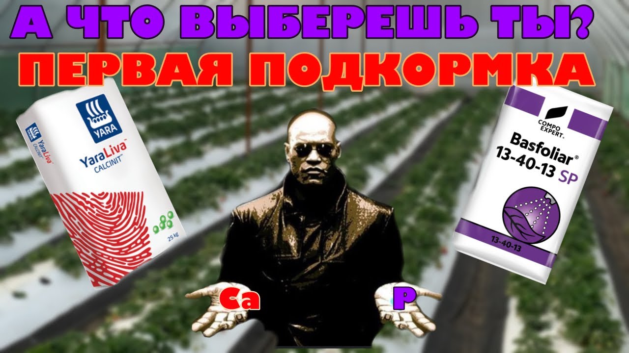 Первая Подкормка Клубники