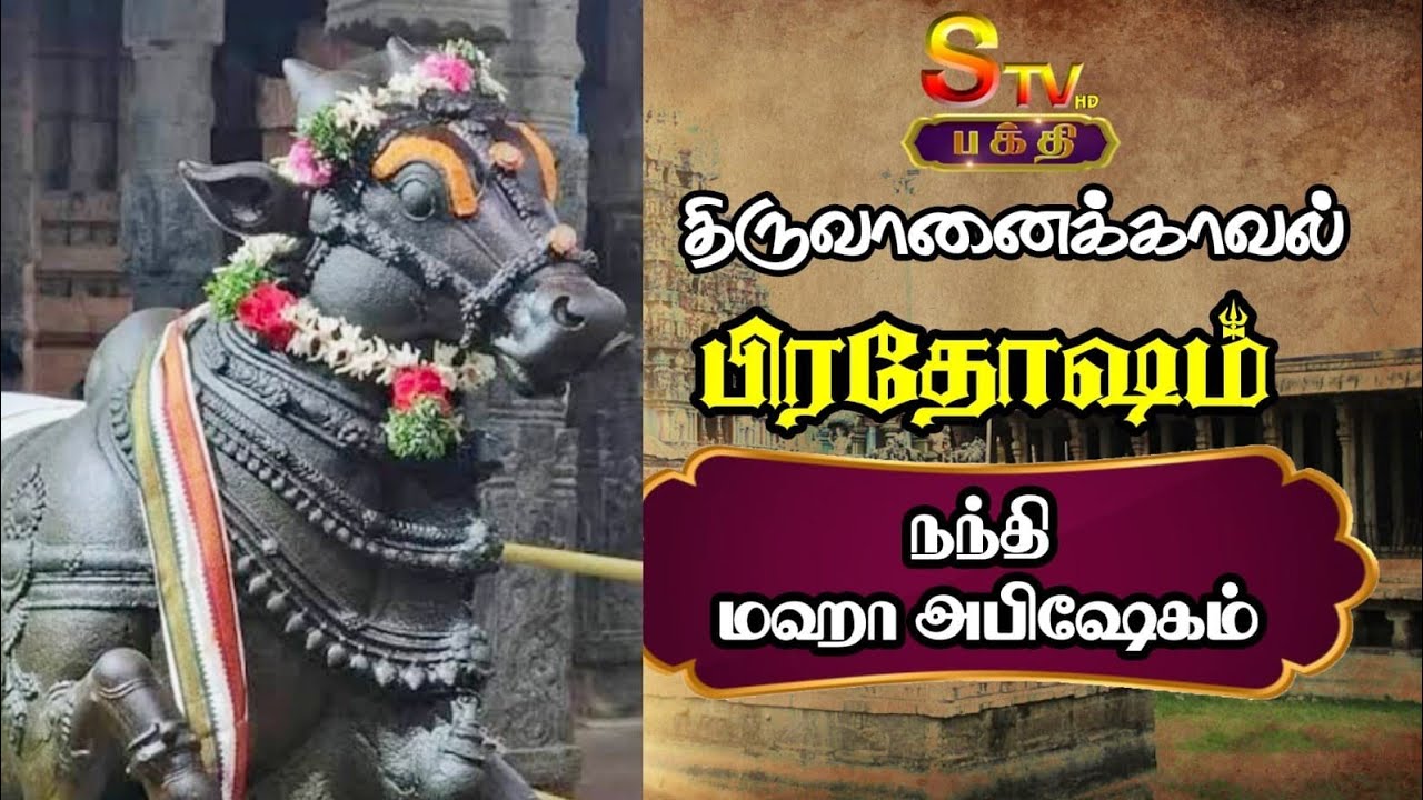 திருச்சி திருவானைக்காவல் பிரதோஷம் நந்தி அபிஷேகம்