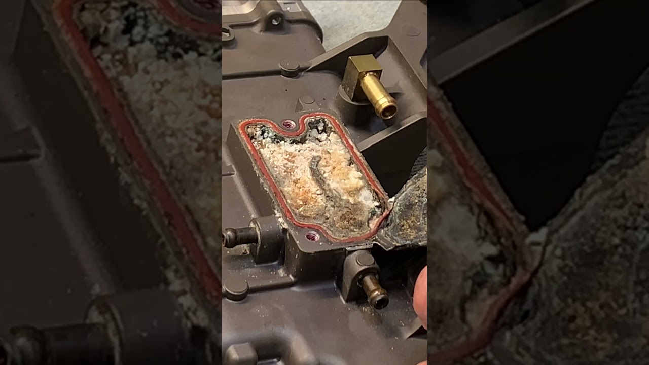 YAMAHA F-250 Fuel VST Diagnostic and Repair