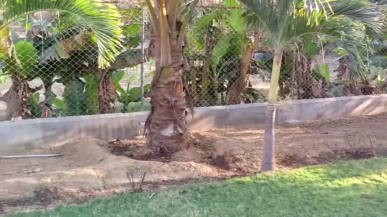 Very nice farmhouse in Karachi Pakistan