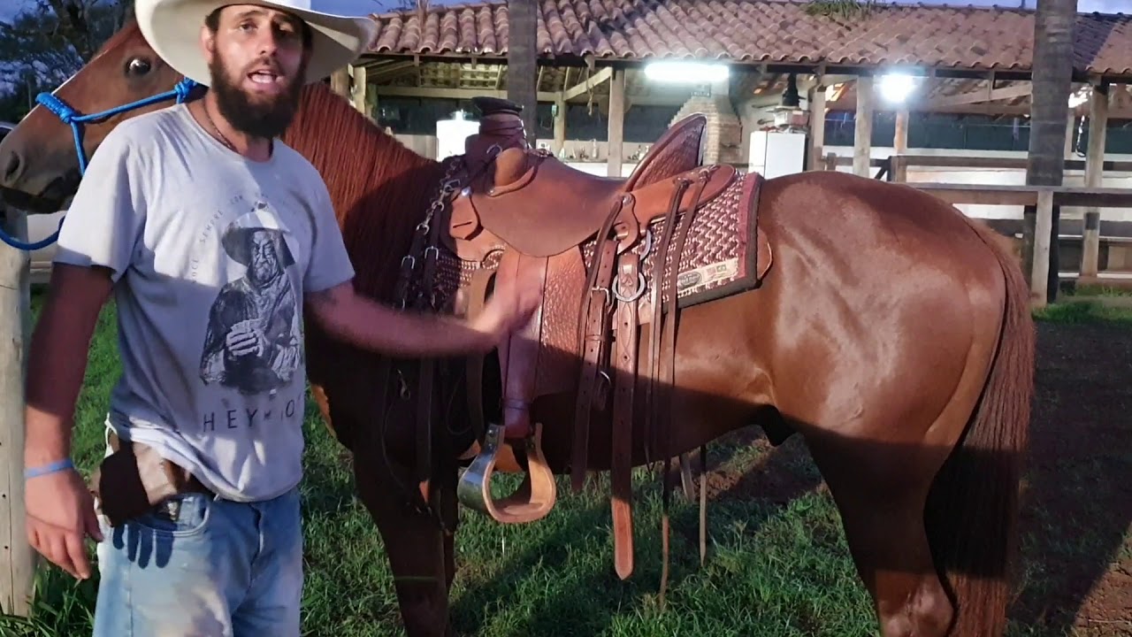Escolha da sela.