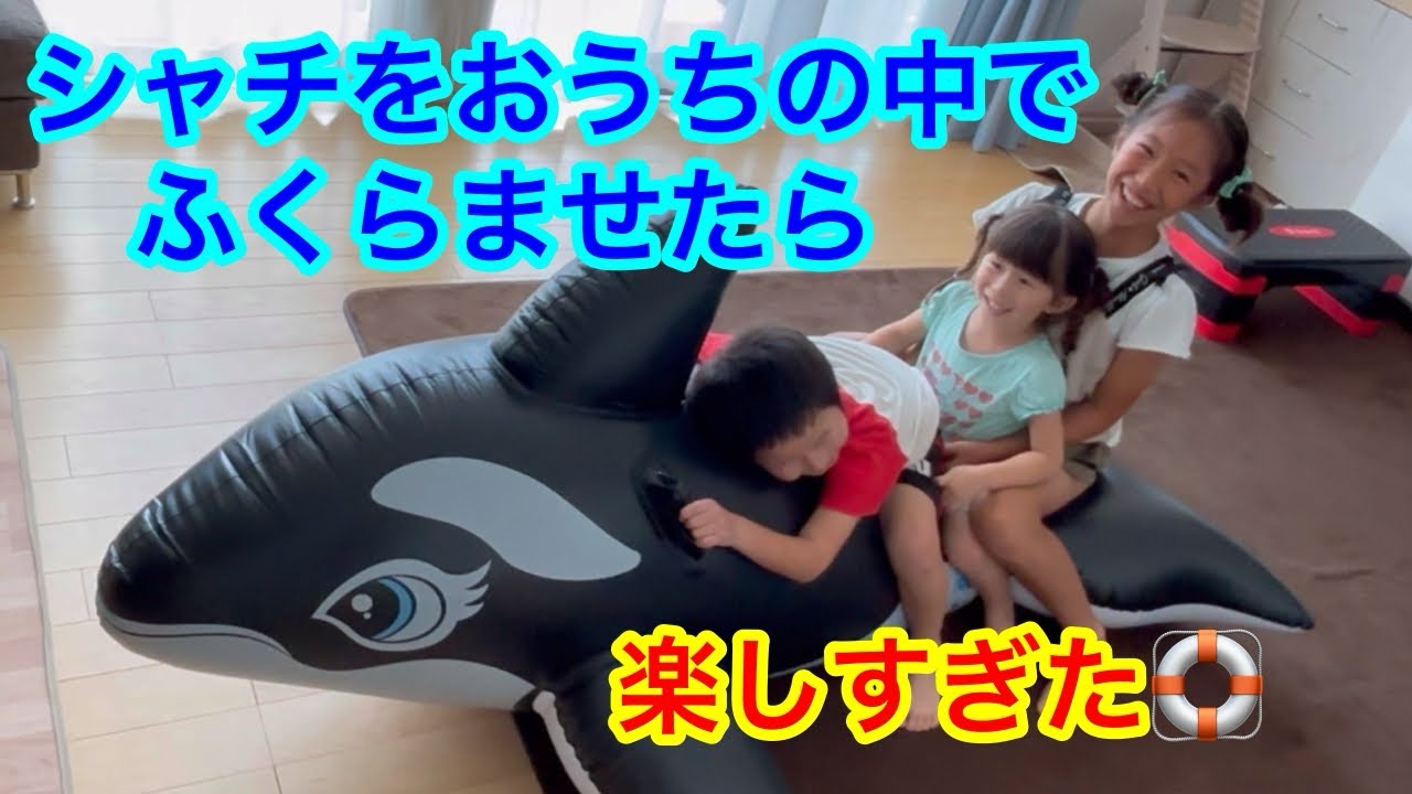 【ホームビデオ】シャチの浮き輪をおうちの中でふくらませたら、身体も動かせて楽しすぎた😍