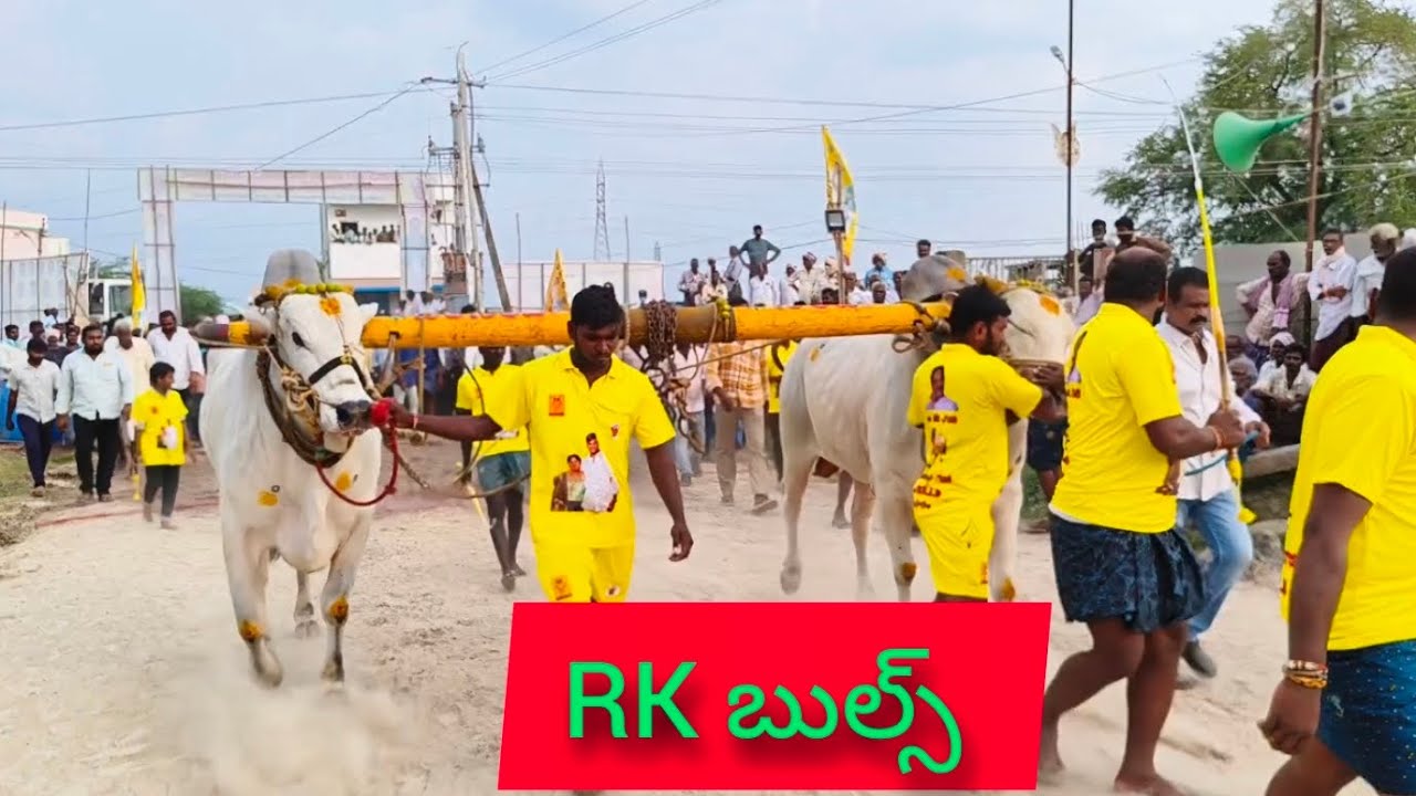 వీర నరసింహ సమరసింహ ప్రదర్శన అత్తోట శిరీష చౌదరి గారు శివ కృష్ణ చౌదరి గారు