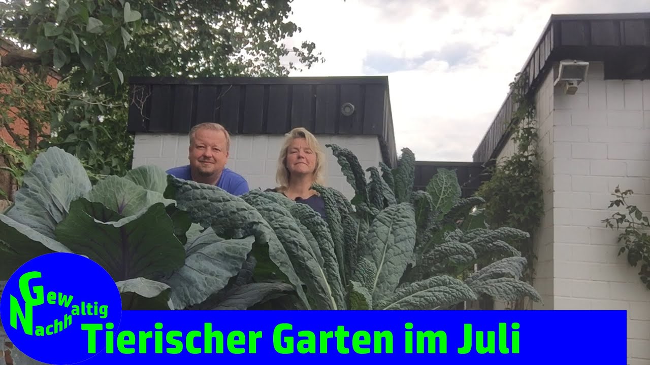 Gartenrundgang Juli - &Uuml;berraschungen im Hochbeet