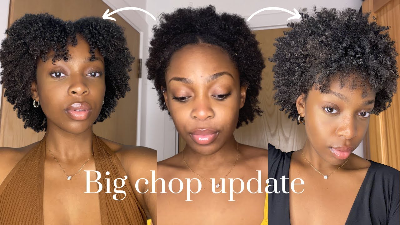 6 months POST BIG CHOP (update) | Ana Luisa