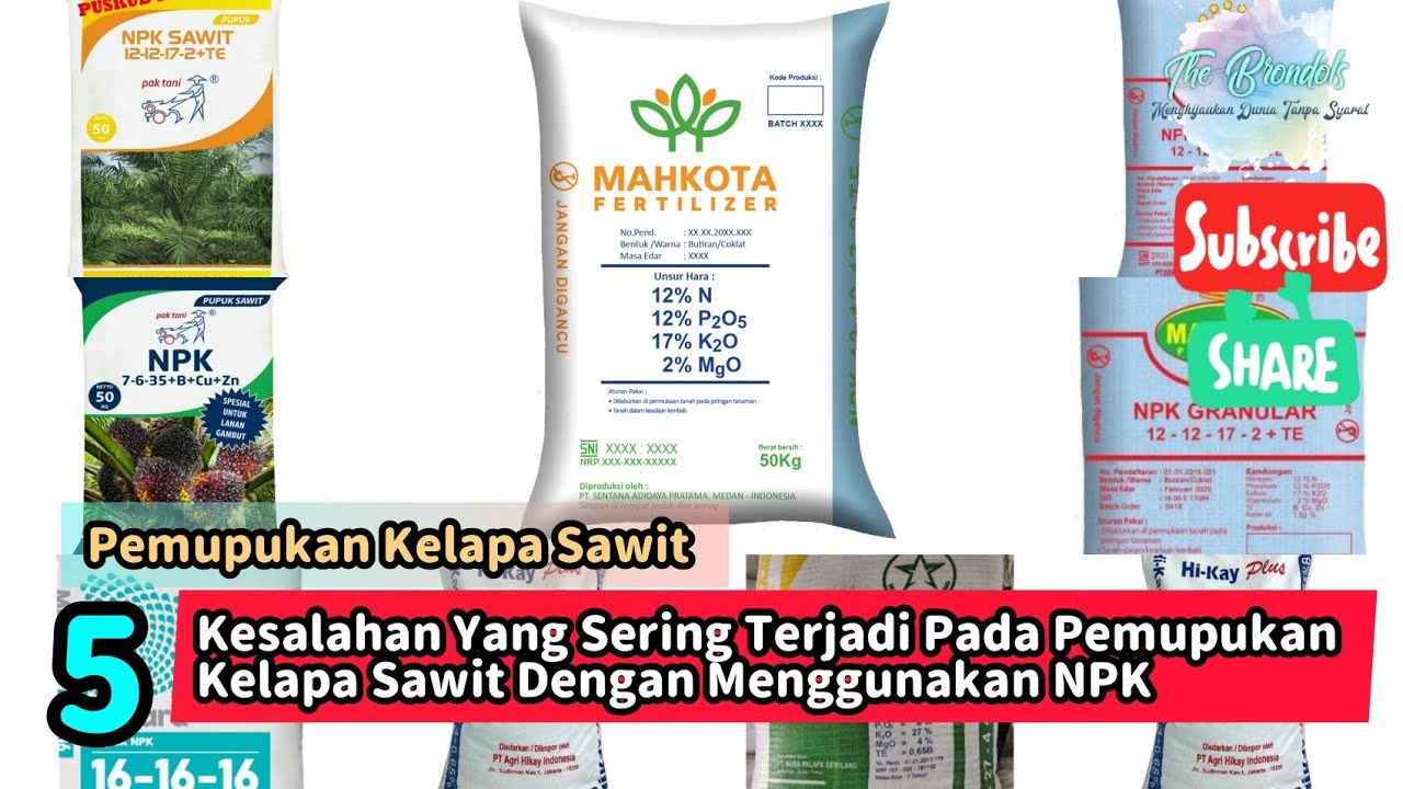 5 Kesalahan Yang Sering Terjadi Pada Pemupukan Kelapa Sawit Dengan Menggunakan NPK