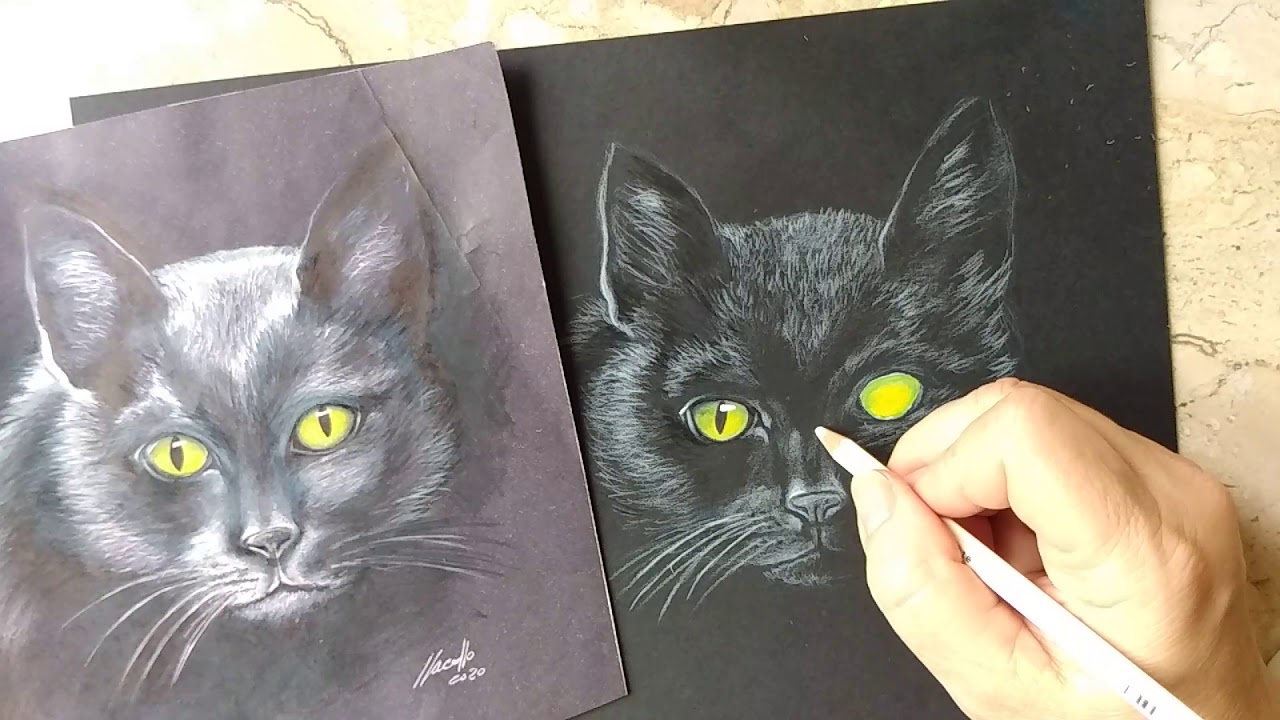 Como desenhar um gato realista no papel preto
