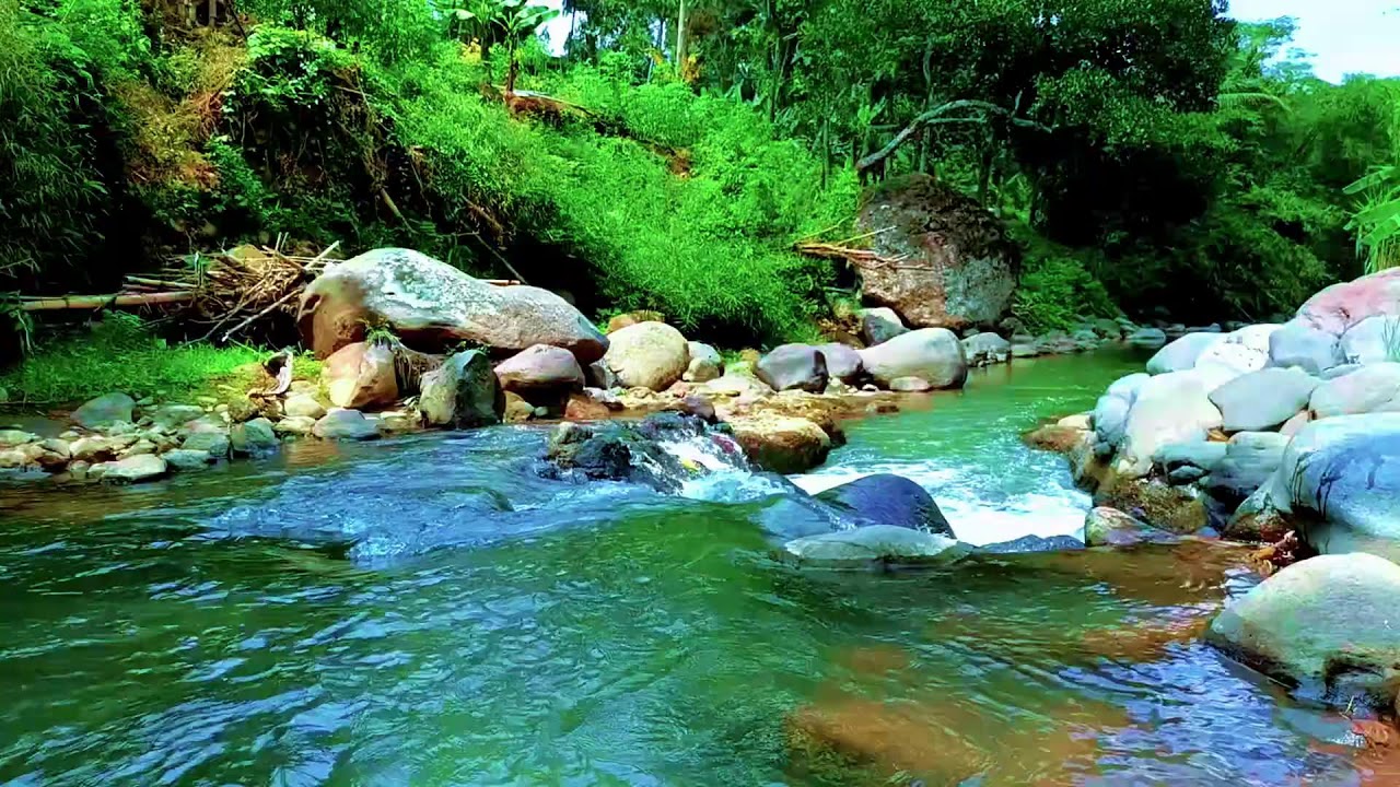 Secluded Forest River Ambience for Deep Sleep, Healing Rest, and Mental Recovery