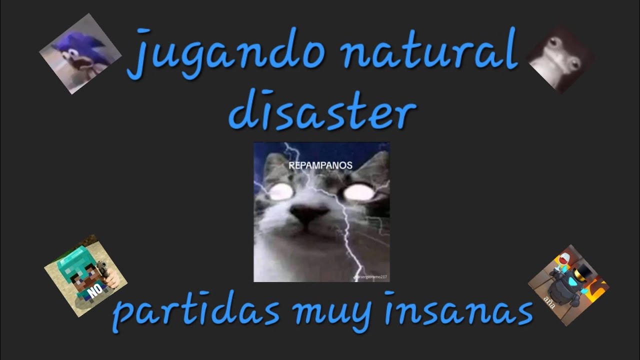 Partidas insanas de natural disaster