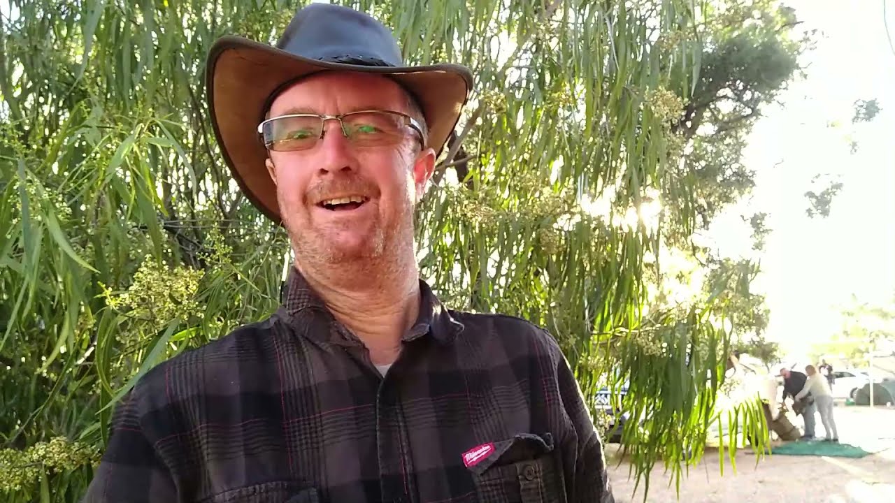 Lightning Ridge to Bourke
