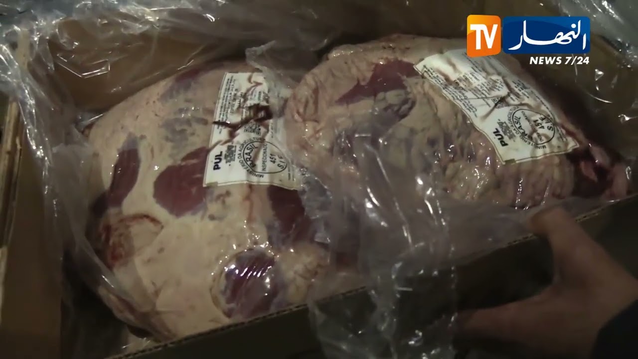 بجاية: استيراد كميات معتبرة من اللحوم بنوعيها لتلبية الاستهلاك خلال شهر رمضان