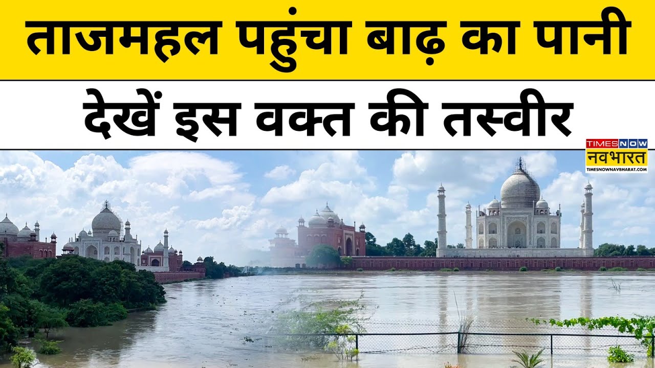 Agra के Taj Mahal पहुंचा UP Flood का पानी, देखें Viral Video | Hindi News