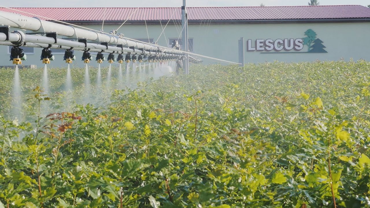 LESCUS Cetkovice
