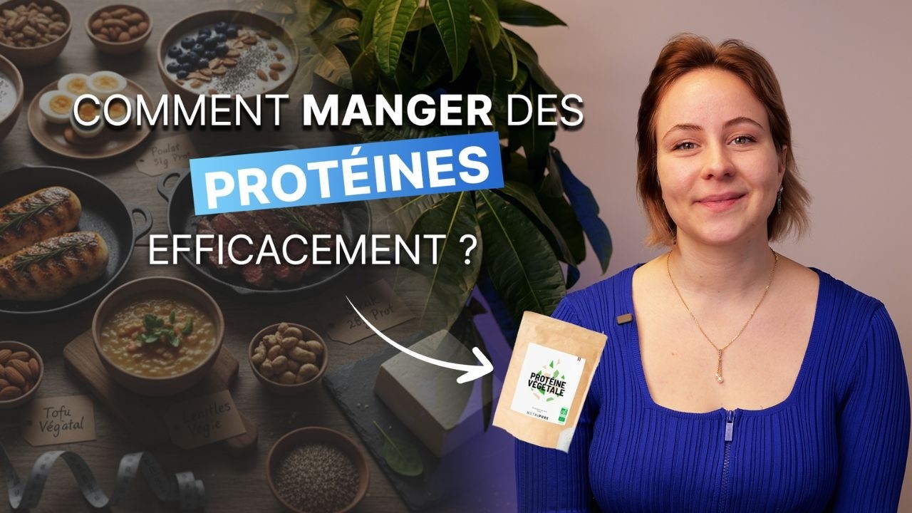Tout savoir sur les protéines : sources, besoins et répartition