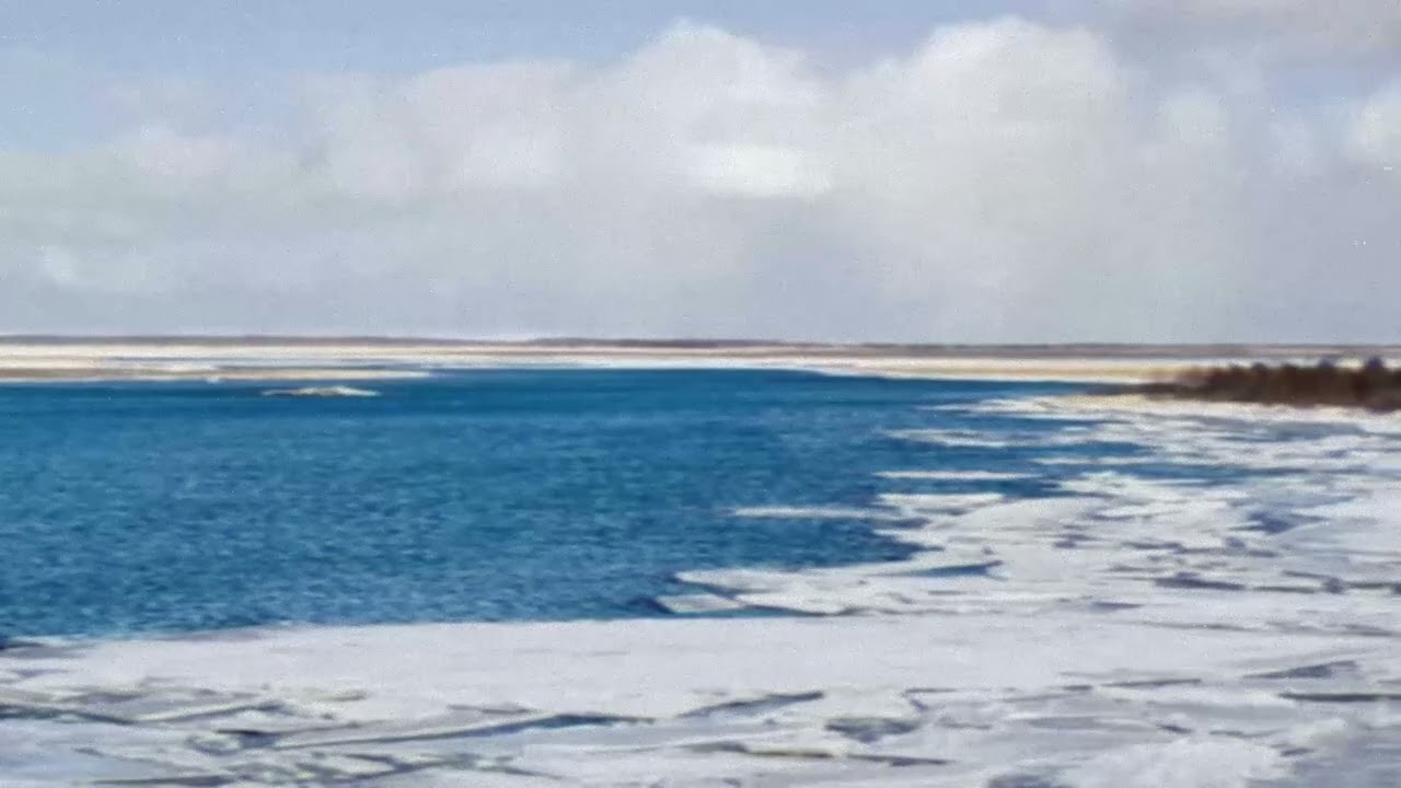 white sea