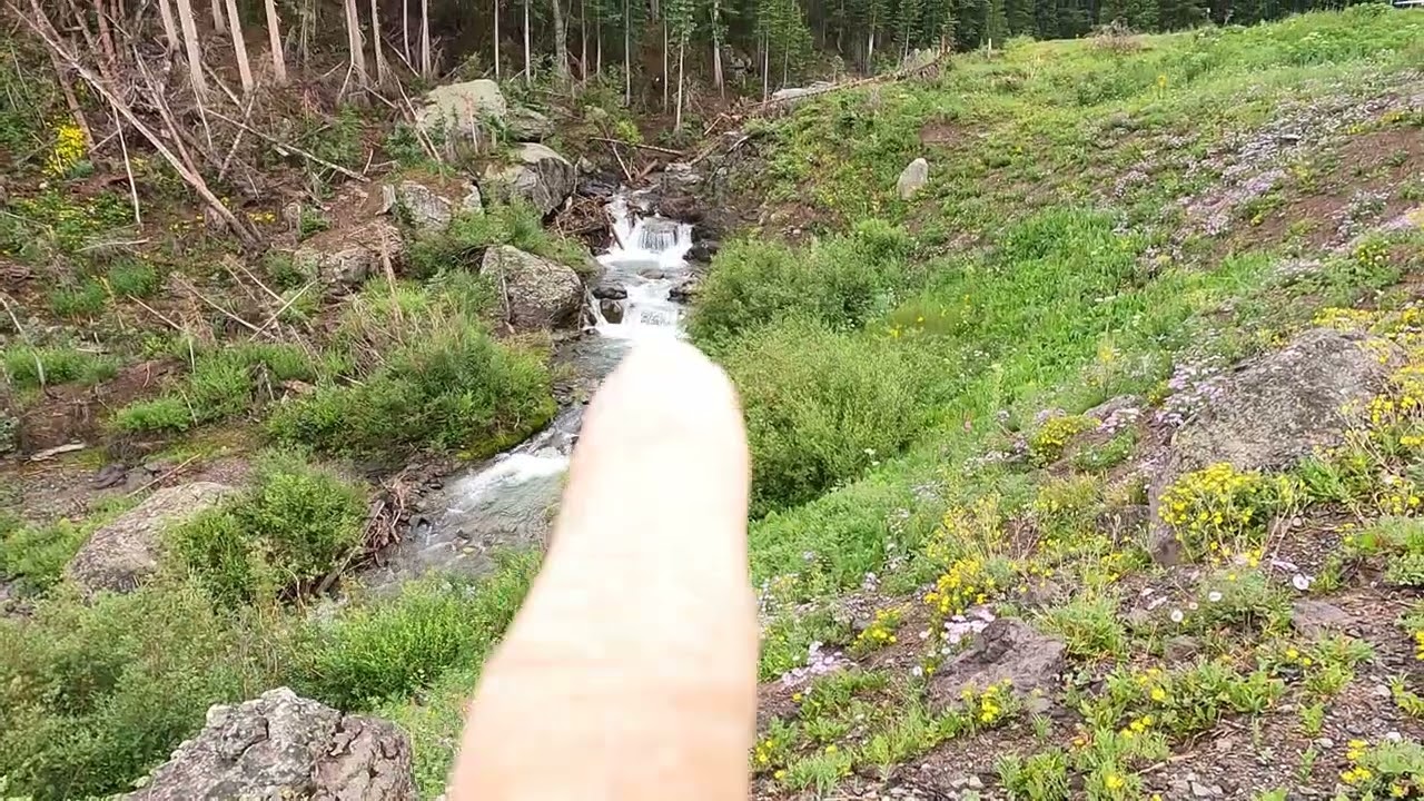 Tour Guide - Yankee Boy Basin