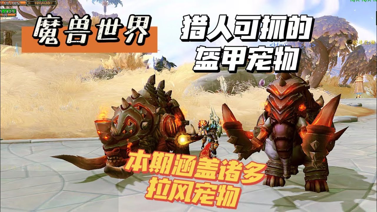 【魔兽世界】全面汇总猎人可抓的盔甲宠物们-拉风宠物尽在本期（重装甲工业风、轻甲冷峻风、有的还附带其它特效：火焰、邪能粒子、半透明）-ly_白鲸