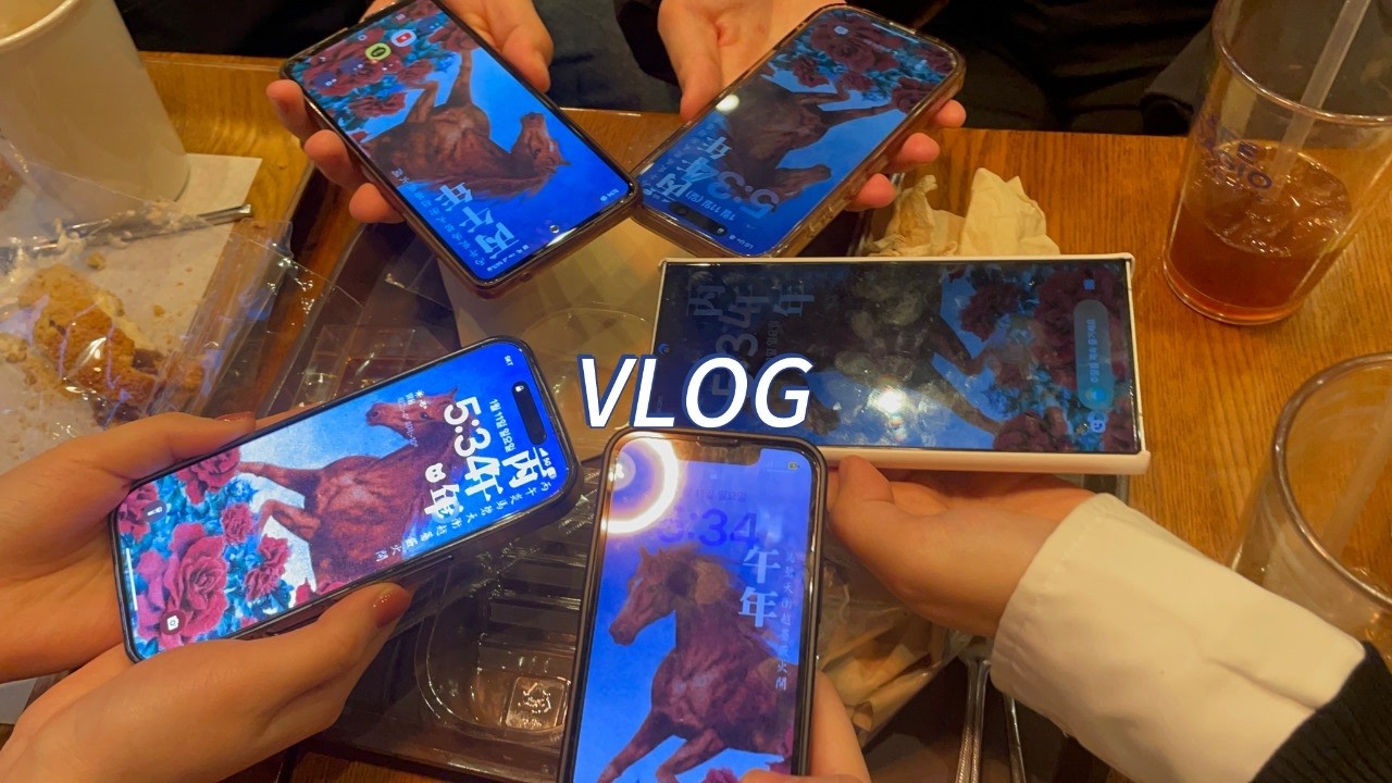 공연 브이로그 .. 인데 공연 영상 빼고 다있는