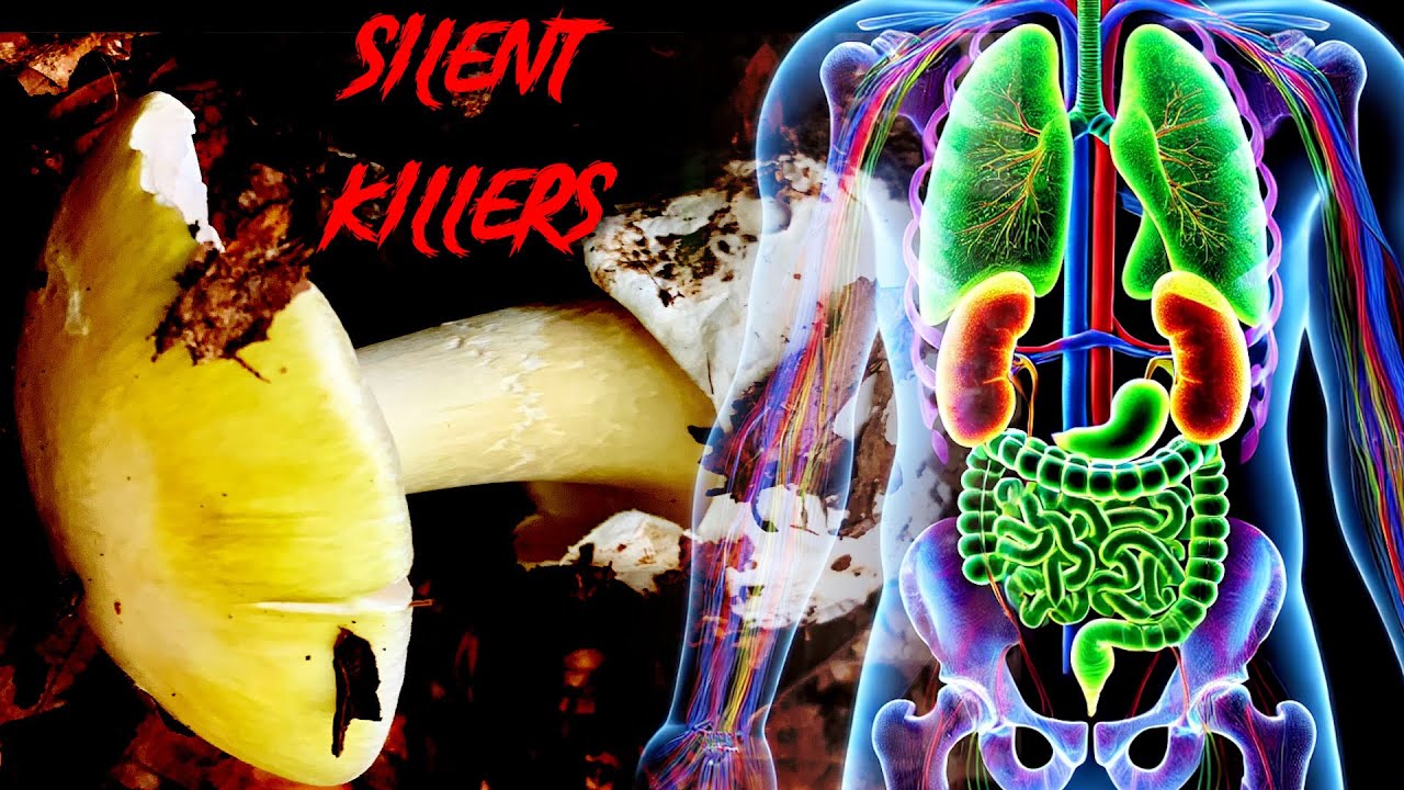 The Two Deadliest Mushrooms: Here&rsquo;s What Happens to Your Body