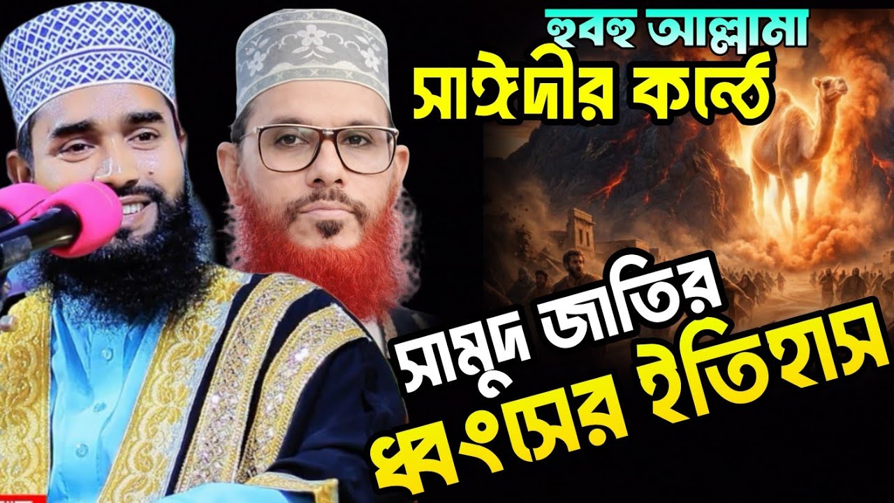 হুবহু আল্লামা সাঈদীর কন্ঠে || সামুদ জাতির ধ্বংসের ইতিহাস || হাফেজ মাওলানা দেলোয়ার হুসাইন পিরোজপুর 