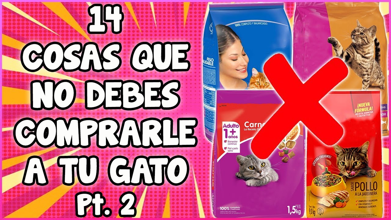 14 Cosas Que No Debes Comprarle a Tu Gato (2a. parte) - SiamCatChannel