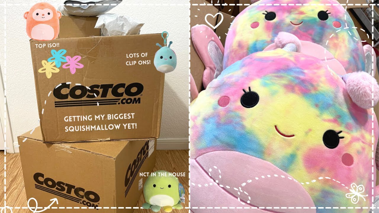 squishmallow unboxing/collective haul #3 - owl & goose gifts, brickheads collectibles, costco & more