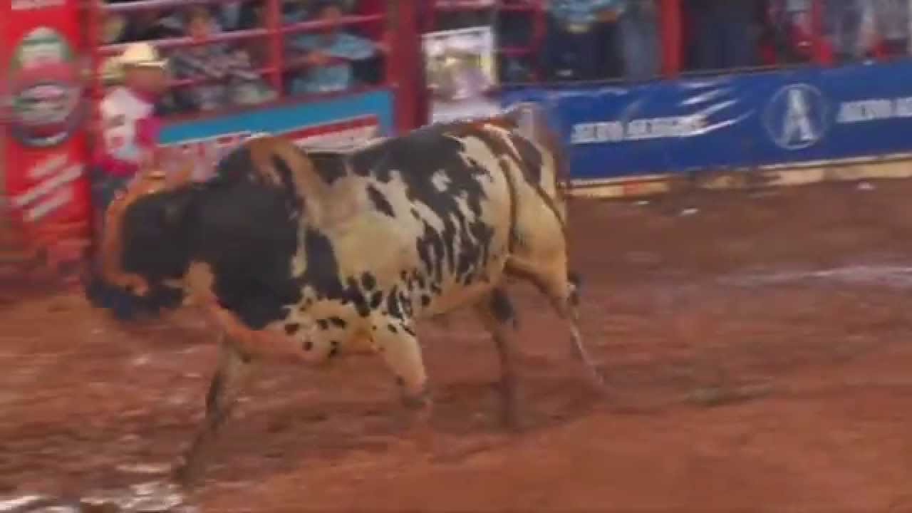Final rodeio de Colorado - PR 2014 com Almir Cambra