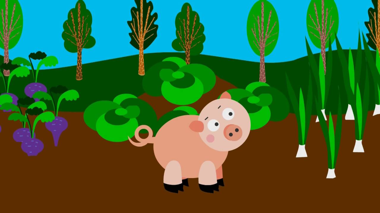 Animals | 67 | Bedtime Stories | ducktv