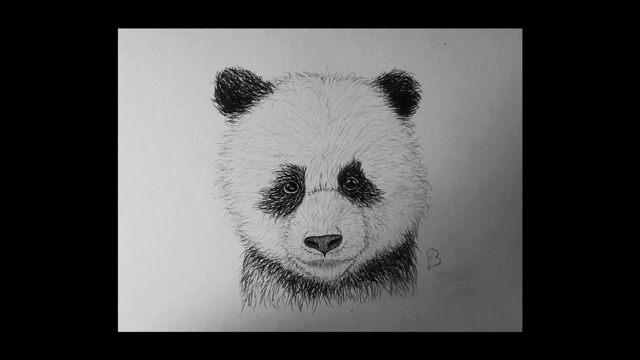 How To Draw A Panda Easy Step By Step For Beginners Real Time