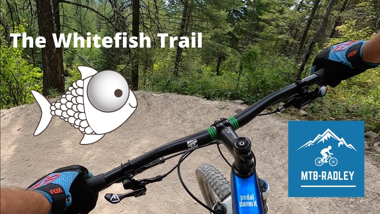 WHITEFISH TRAIL - Mountain Bike Trail Ride!