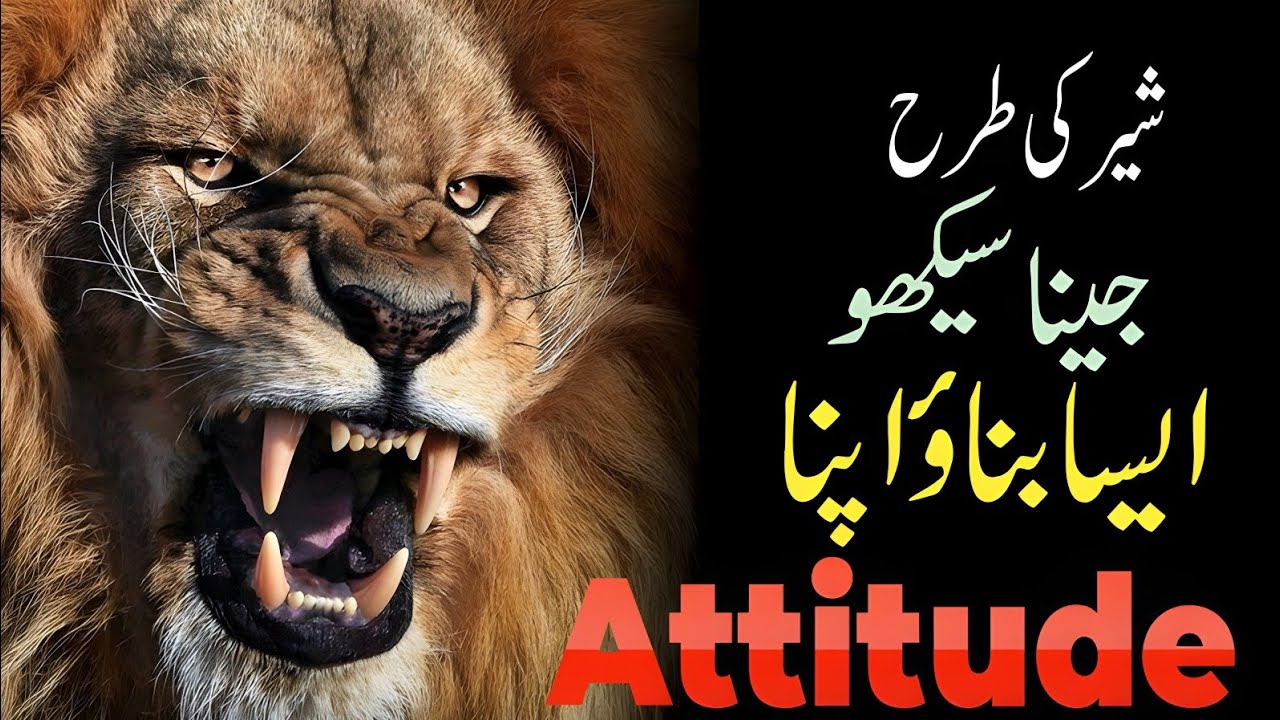 The Power Of Lions Attitude | Powerful Motivational Speech By Mr Ahmed