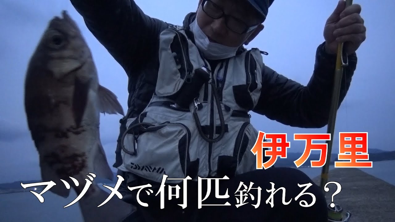 【新つり天＃4】伊万里　夕マヅメでユル～く趣味釣り
