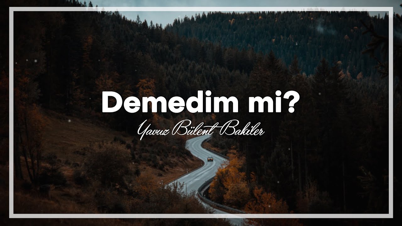 Yavuz Bülent Bakiler | Demedim mi?