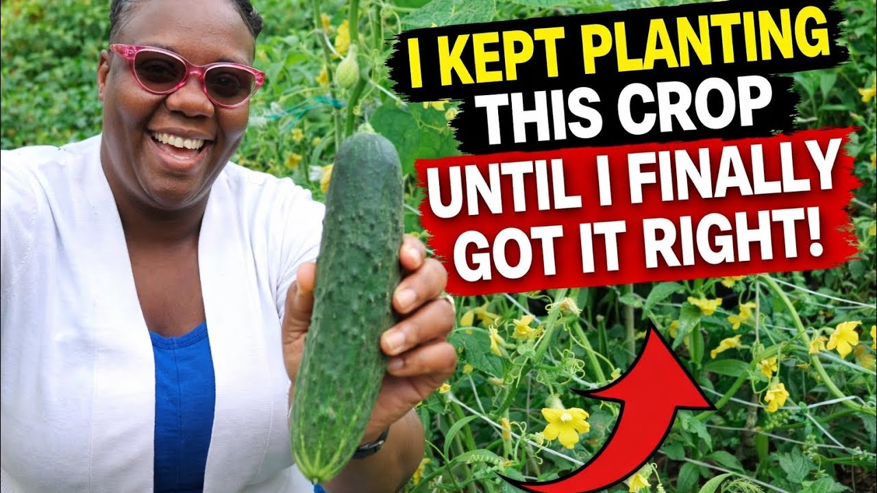I Kept Planting This Crop Until I Finally Got It Right!! 